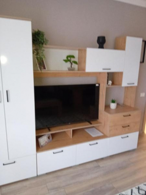 Apartament Adrian